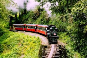 阿里山蒸氣火車