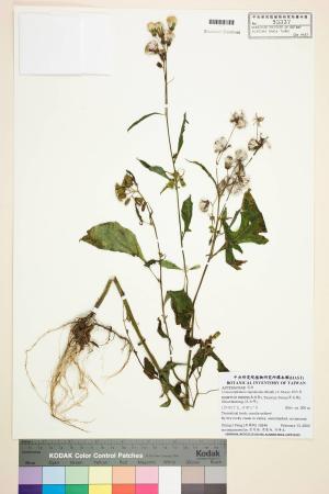 <a href="http://brmas.openmuseum.tw/muse/digi_object/51ef7a0aa11863a7f19187b87907dc72" target="_blank">Crassocephalum crepidioides (Benth.) S. Moore_標本_BRCM 7583</a>