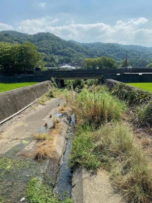 鹿鳴坑野溪