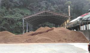 1090210大榮農場.民國70年代拍的香菇和剛建菇寮設施，木屑混合區.鐵皮現代菇寮.水池養吳郭魚_200215_0013