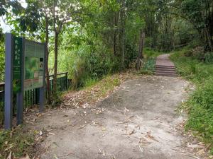 桃米坑溪登山步道入口階梯