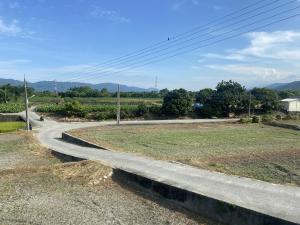 東干城農地夏季景觀1