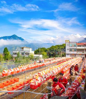 永隆村醮典祭品準備