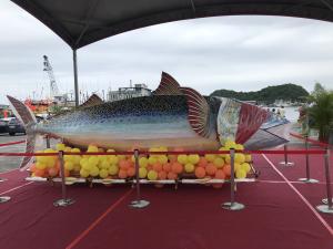 鯖魚祭_未開眼大鯖魚