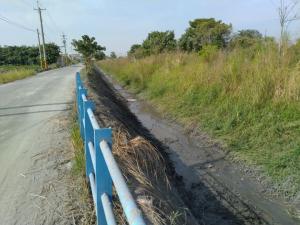 清除路邊雜草工程的新生巷路段