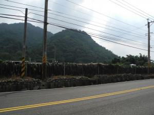 富州里集山路旁的紅龍果園與山