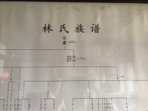 大竹圍林家族譜（部分）始於比干