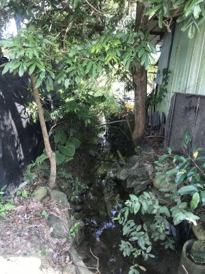 大竹圍水圳遺跡