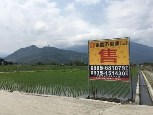 城中四街五街交界處有干城四寶-稻田與農地販售看板02 攝影：蔡念澄