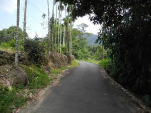 從中央里往枋寮之道路(左上方為墓園區)