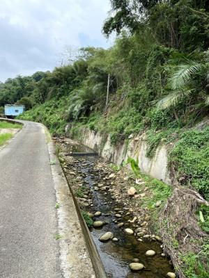 黃梨園野溪