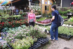 田尾公路花園逛花店