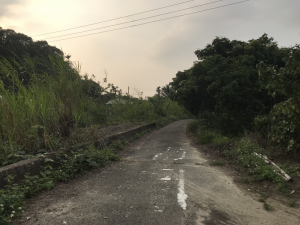 通往酪梨園的防汛道路02