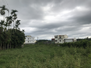 通往大竹圍土地公廟的小路景01