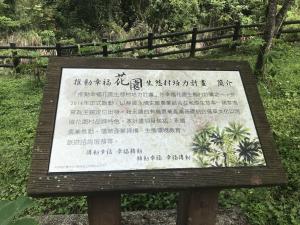 花園生態村簡介（蓪草）