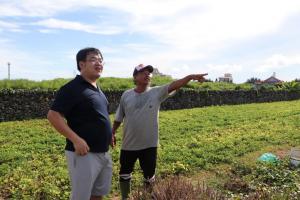 龍門村村長洪瑞達先生解說農田