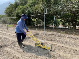 黑小米導入手推式播種機採條播栽培