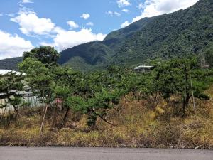 水頭里曹建森園藝種植區