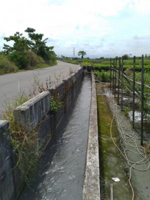 大庄村水圳圳道