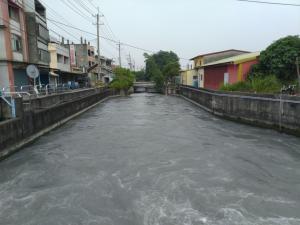 莿仔埤圳水道