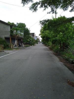 大庄村東橫巷街道