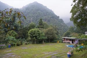 蓪草花園露營區營地