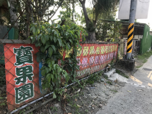 美好花果種苗園-寶果園