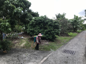 2鄰鄰長妻噴除草劑01