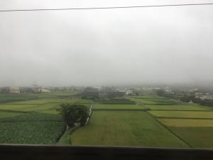 20190813稻田