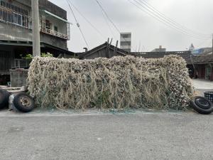 五港聚落路旁堆積的蚵殼串