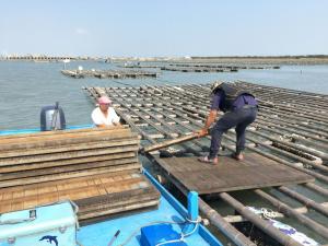 20201027_林進郎蚵農出海17垂下式蚵架釣客_鴻揚手機