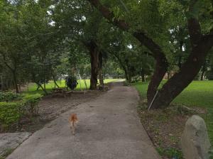 水頭山莊庭園4