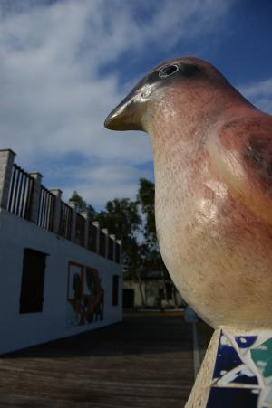 伯勞鳥館