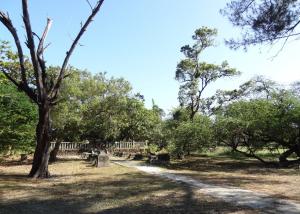 「永康三崁店糖廠神社遺蹟」的保存希望