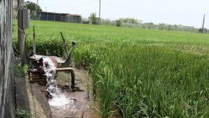 水牛厝太子宮前地下水